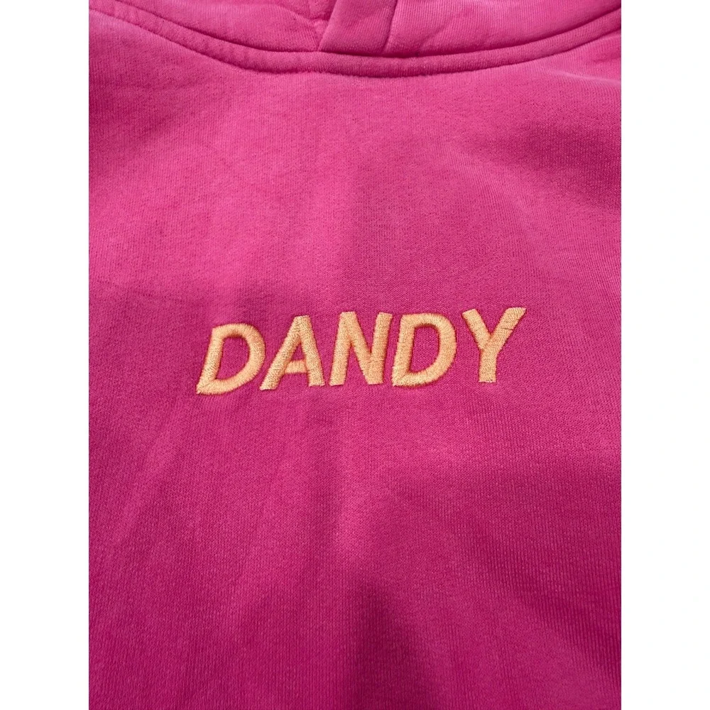 Dandy Worldwide Pink Lets Watch The Sunset Embroidered Hoodie Mens Size M